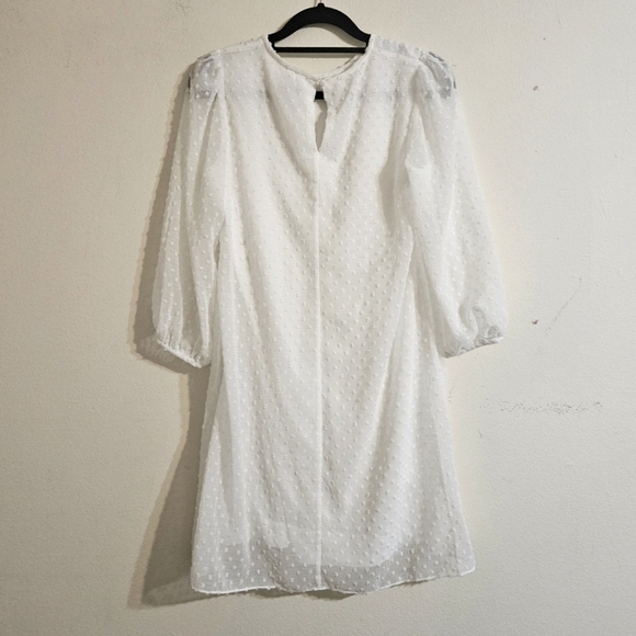 Calvin Klein Chiffon Overlay Dress NWOT - Picture 2 of 6